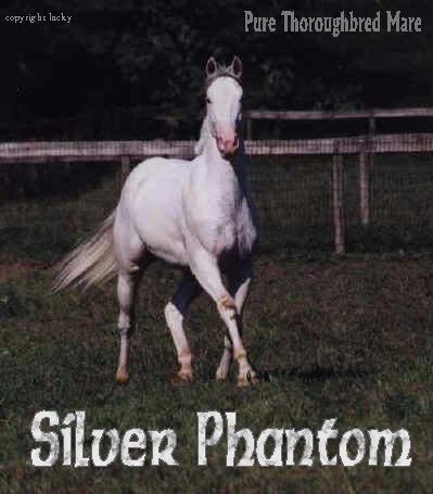 silverphantom.jpg